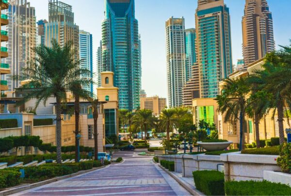 SEO in Dubai - Increase Sales